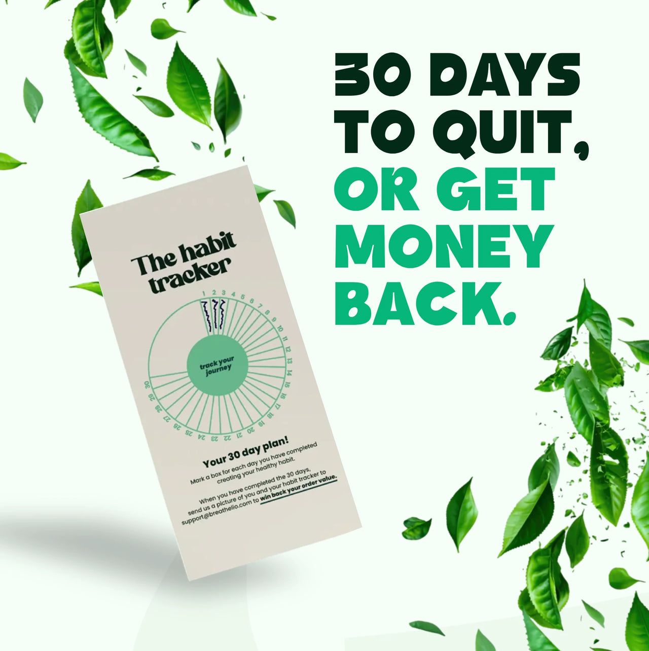 Lio® Journey Pack